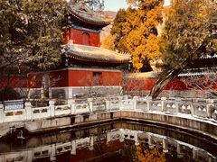 -国家植物园南园