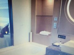 -南桥绿地铂骊酒店