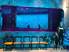 -瑞德姆美人鱼海底演艺主题餐厅(亚龙湾店)