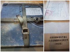 -北京动物园-畅观楼