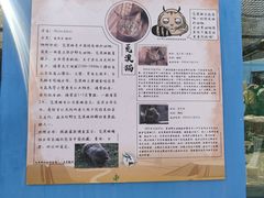 -青藏高原野生动物园