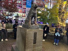 -涩谷全向十字路口