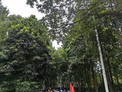-韶山毛泽东同志故居
