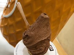 -野人先生现做冰淇淋(深圳壹方城店)