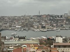 -加拉达石塔