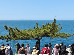 -养马岛旅游度假区
