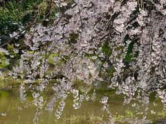 -京都御所
