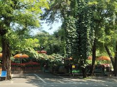 -丽泽山庄·生态怀柔菜·虹鳟鱼(红螺寺店)