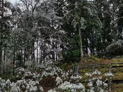 -井冈山风景名胜区