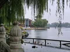 -后海公园