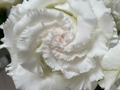 -BHG生活超市(安贞店)