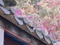 -深圳国际园林花卉博览园