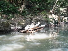 -兰亭风景区