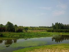 -东郊湿地公园