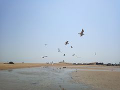 -老虎石海上公园