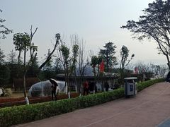 -铁山坪森林公园