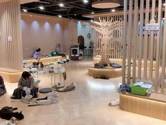 -有喵·猫咖·狗咖·30几只猫10只小狗(岗厦店)