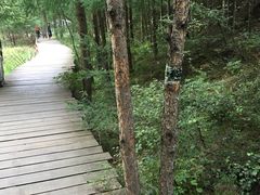 -苏木山森林公园