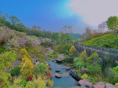 -广州莲花山旅游区