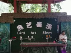 -西双版纳原始森林公园