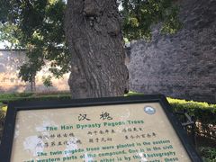 -平遥县衙
