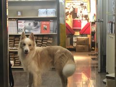 -豆舞咖啡(民乐路店)