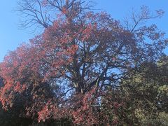 -宝岩生态观光园