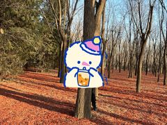 -朝阳公园游乐园