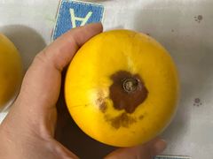 -鲜果园(南宁吴圩国际机场店)