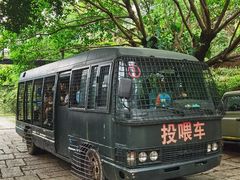 -深圳野生动物园