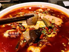 -庆合府重庆大排档(紫都城店)