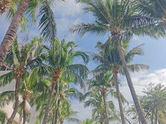 -三亚蜈支洲岛旅游区