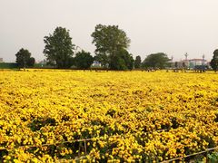 -中国天府农业博览园