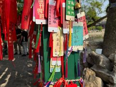 -莲池书院博物馆