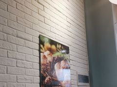 -菌乡缘·野生菌蒸汽鱼火锅(江边夜市店)