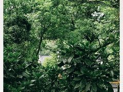 -杭州西湖风景名胜区-三生石