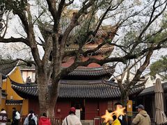 -普济寺素斋