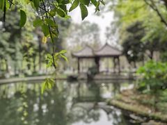 -温江公园