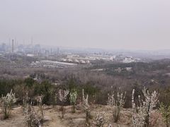 -白水寺森林公园