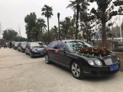 点击看大图 -蚂蚁婚车