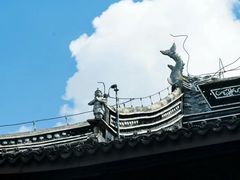-红梅公园