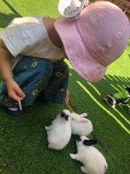 -萌宠亲子动物乐园(槐房万达店)