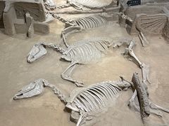 -洛阳周王城天子驾六博物馆