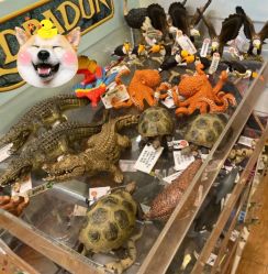 -kidsland(领展购物广场·京通店)