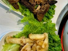 -爱膳菌锅锅(阳南店)