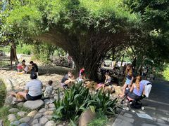 -成都市活水公园