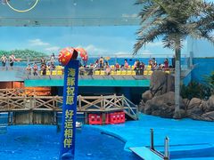 -海合安成都极地海洋公园