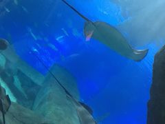 -福州罗源湾海洋世界旅游区