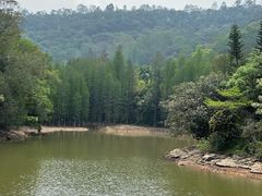 -滴水岩森林公园