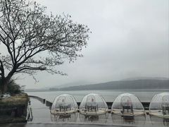 -水上明月·湖景餐厅